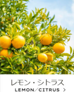 Jurlique-ジュリーク公式サイト-11-17-2025_11_18_AM